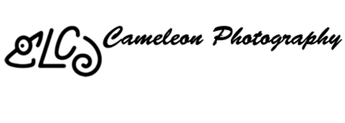 Cameleon Photography cover